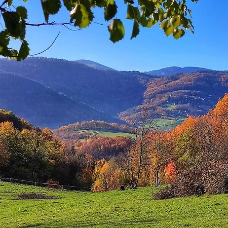 Gite A La Source Breitenbach Kültér fotó