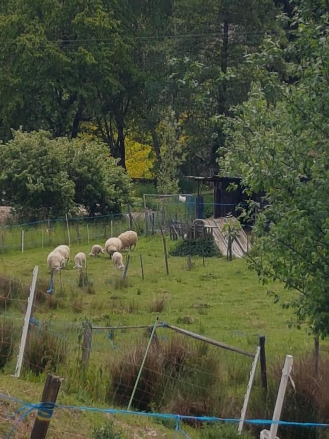 Gite A La Source Breitenbach Kültér fotó